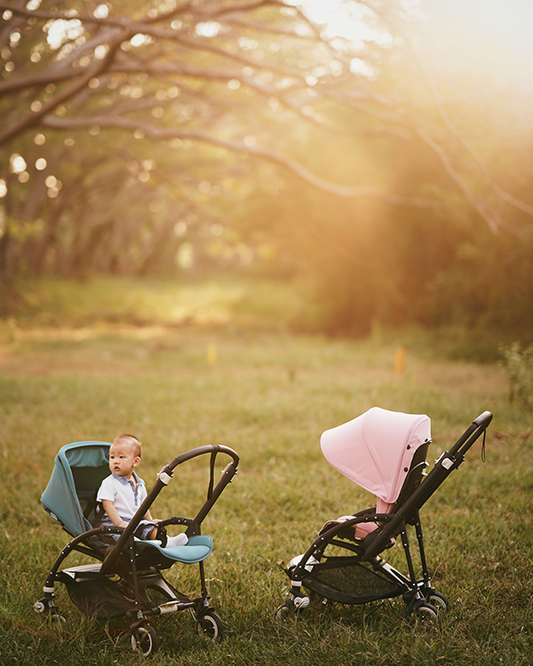 Bugaboo8