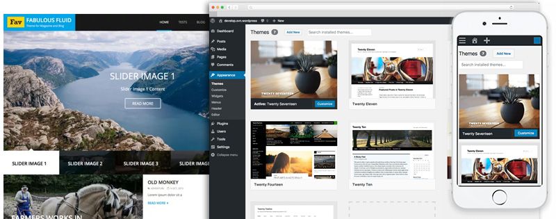 wordpress